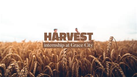 Harvest 2025
